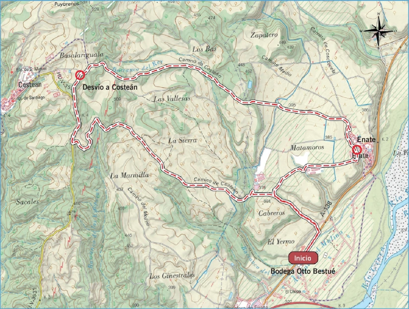 mapa viñedos del cinca