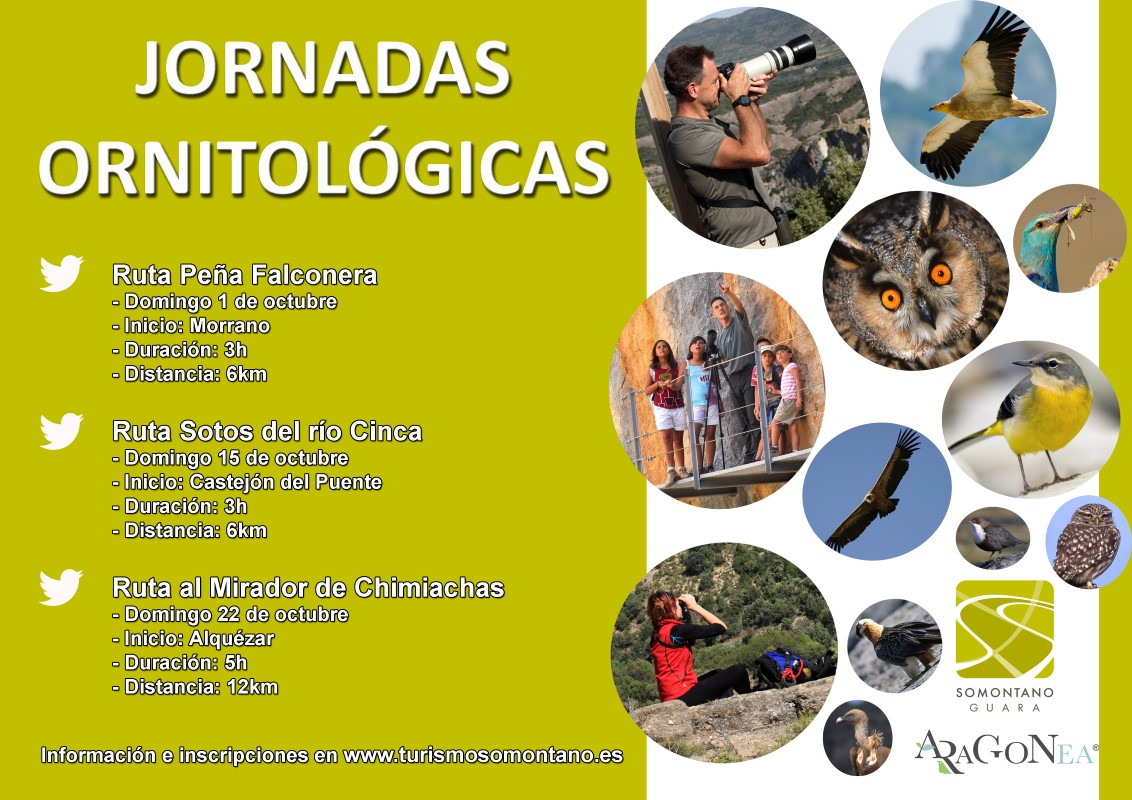 jornadas ornitologia