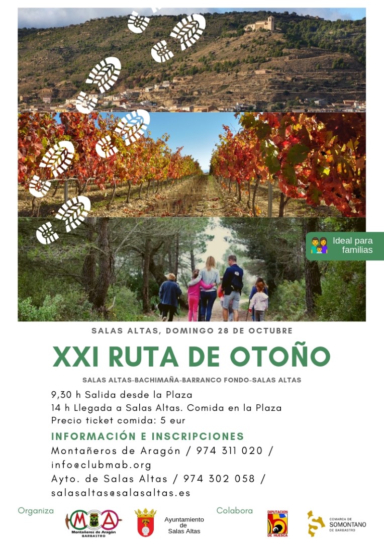 Ruta de los viñedos