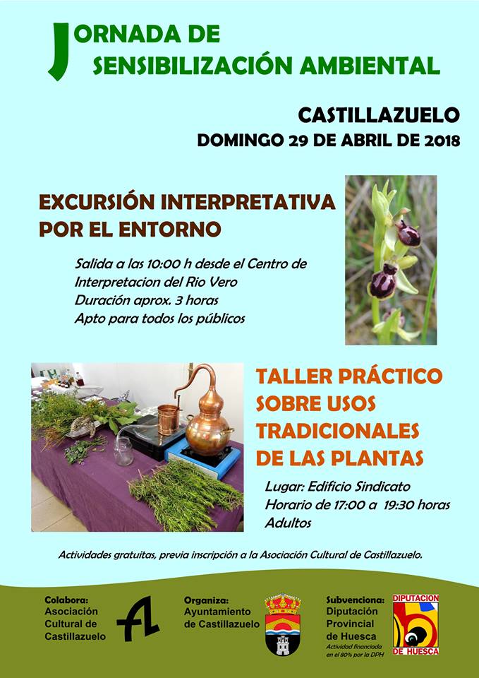 jornada castillazuelo