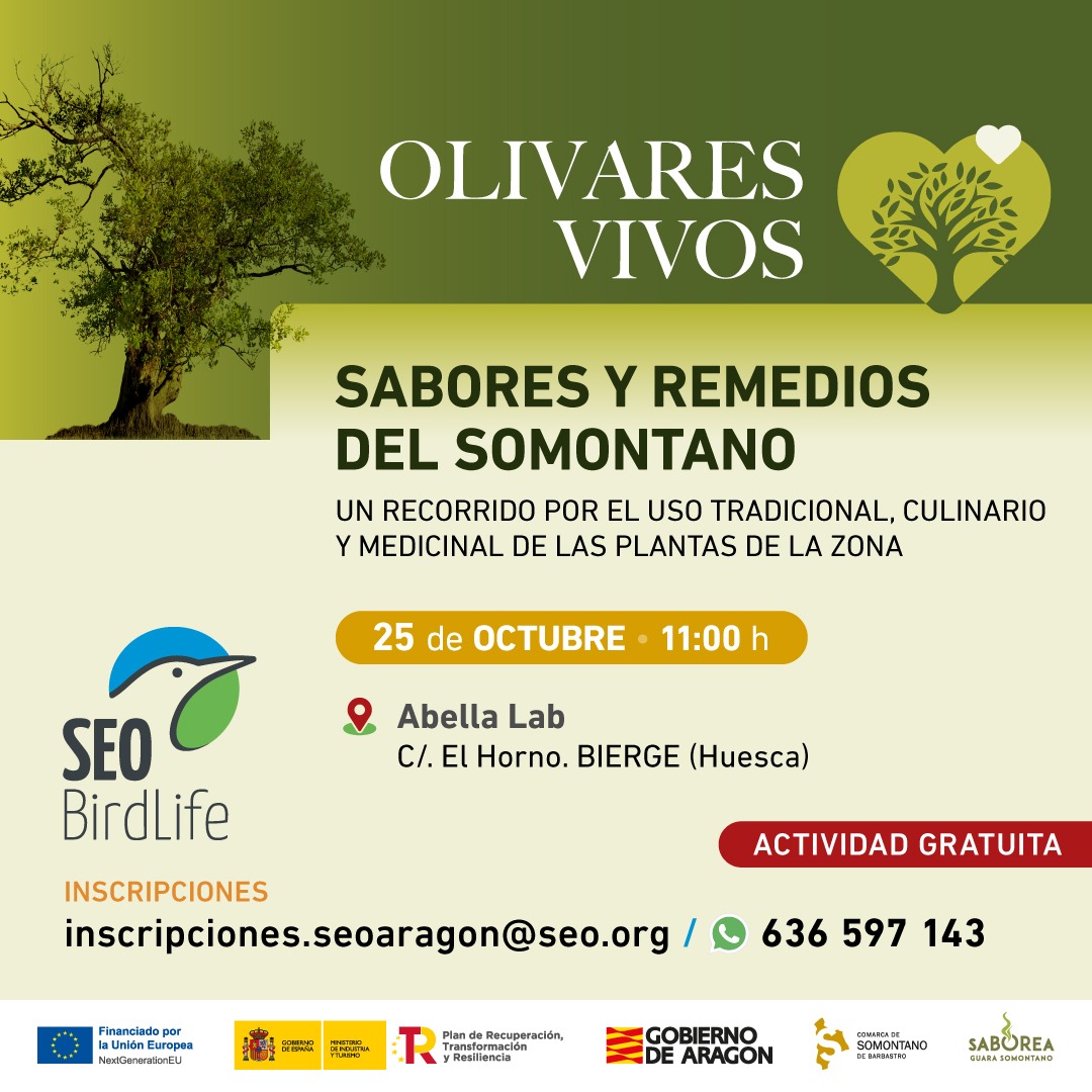 Taller plantas