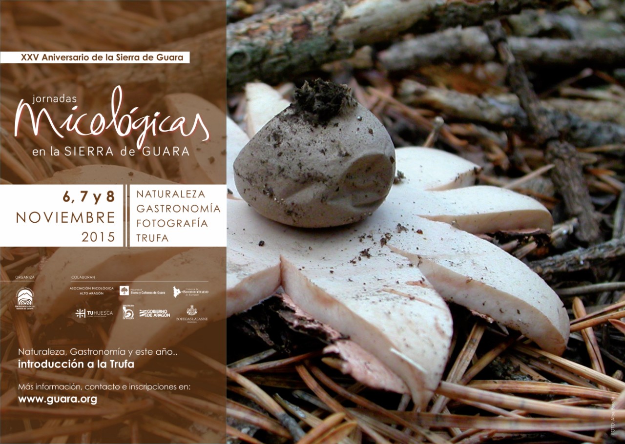 jornadas micologicas AESG