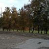 el grado 1