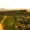 Ribera_del_Alcanadre
