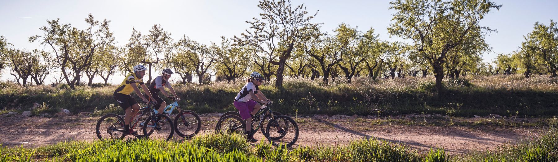 Tour de la Peonera