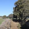 Camino Histórico de Berbegal 3