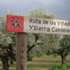 Ruta de los Viñedos 4