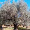 Alquezar. Paseo de las Alquezranas 4