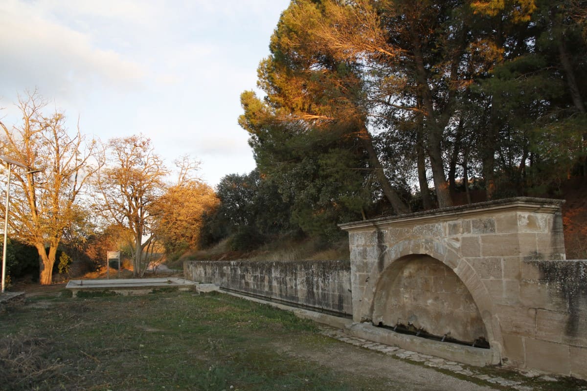 Barbuñales 2