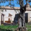Buera. Santuario de Dulcis 4