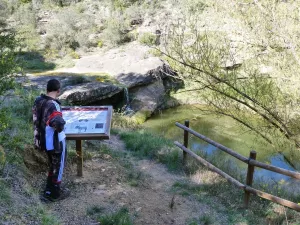 Estaño ros Palomos Route. Salas Bajas