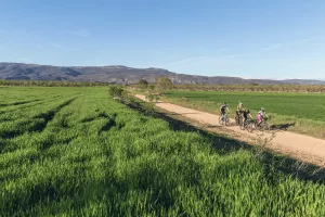 Ruta Ribera del Alcanadre