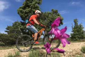 Ruta Viñedos del Cinca