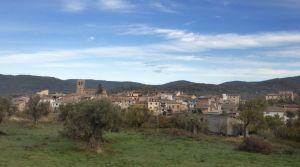 Colungo