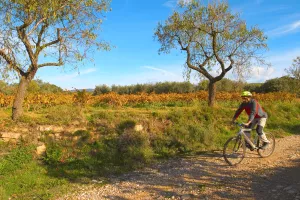 Ruta Viñas de Guara