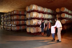 Somontano Wine Route