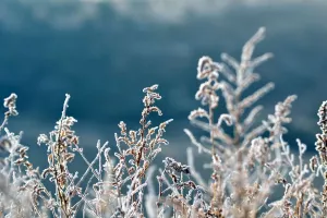 Invierno