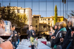 Experiencias Enoturísticas