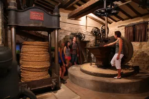 Cultural Heritage