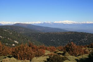 El Legado de las Abuelas de Sevil