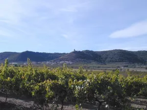 Vineyards route