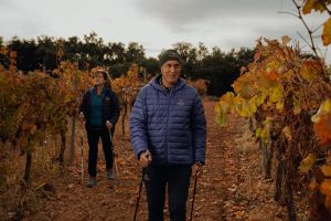 Estaño ros Palomos. Salas Bajas