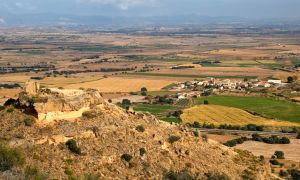 Cárcavas de Morilla. Morilla