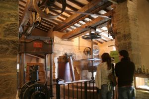 Torno de Aceite. Buera
