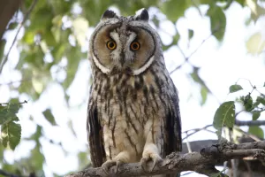 El Diapiro de Estada. Estadilla - Estada