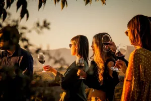 Vino DO Somontano