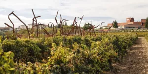 Ruta del Vino