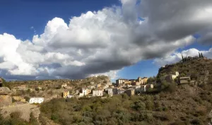 Olvena