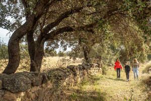 Camino Histórico, Berbegal