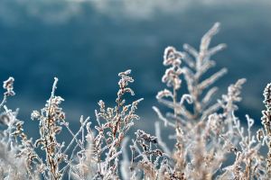 Invierno