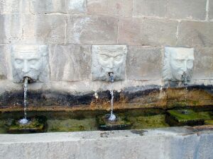 Fuente pública. Abiego