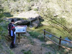 Ruta al Estaño Ros Palomos, Salas Bajas
