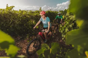 Ruta Ribera del Vero