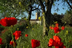 Ruta Alquézar-Buera-Colungo
