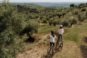 Ruta Campos de Bierge