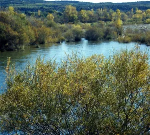 Cinca And Alcanadre Rivers SCI
