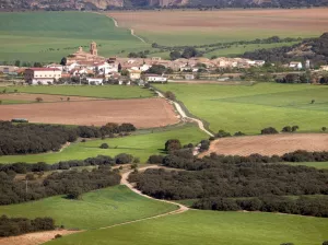 Barbuñales