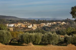 Alberuela de Laliena