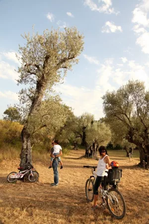 Tour zur Kirch Santa María de Dulcis